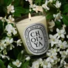 Choisya (Orangenblüte) – klassische Kerze