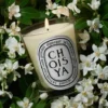 Choisya (Orangenblüte) – klassische Kerze