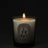 Cypras (Zypresse) – kleine Kerze