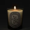 Eukalyptus – klassische Kerze