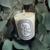 Eukalyptus – klassische Kerze