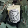 Eukalyptus – klassische Kerze