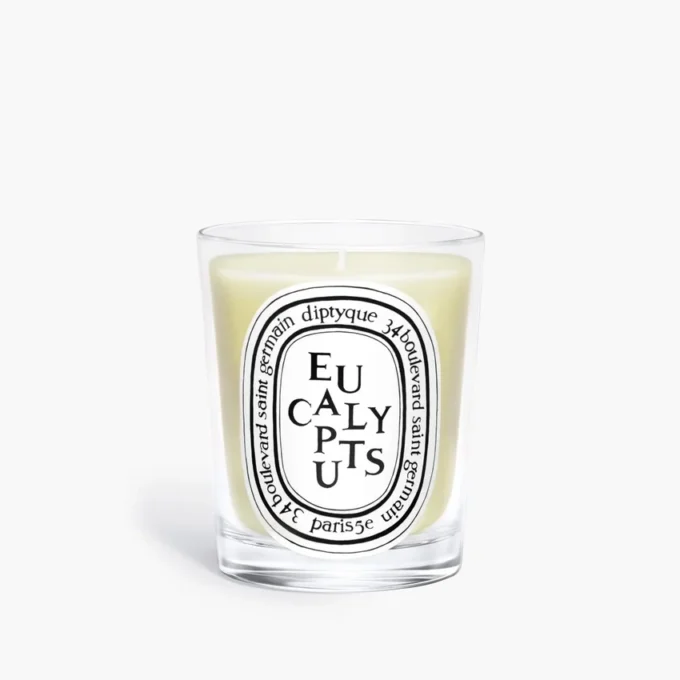 Eukalyptus – klassische Kerze