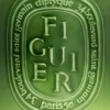 Figuier (Feigenbaum) – sehr große Kerze