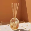 Fleur d’oranger / Orangenblüte – Nachfüllpackung für Diffusoren zum Auftragen von Düften im Bereich Wohnen