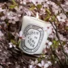 Fleur de cerisier (Kirschblüte) – klassische Kerze