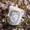 Fleur de cerisier (Kirschblüte) – klassische Kerze