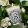 Gardenie – klassische Kerze