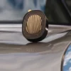 Figuier (Feigenbaum) – Diffusor und Einlage Figuier (Feigenbaum) – Diffusor und Einlage