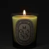 Mousses (Moos) – klassische Kerze