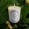 Noisetier (Haselnussstrauch) – klassische Kerze Noisetier (Haselnussstrauch) – klassische Kerze