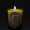 Oranger (Orangenbaum) – klassische Kerze