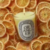Oranger (Orangenbaum) – klassische Kerze