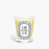 Oranger (Orangenbaum) – klassische Kerze