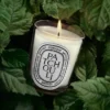 Patchouli – klassische Kerze Patchouli – klassische Kerze