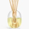 Raumduft-Diffusor – Glasbehälter – 100 ml