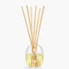 Raumduft-Diffusor – Glasbehälter – 100 ml