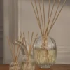 Raumduft-Diffusor – Glasbehälter – 100 ml