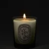 Verveine (Zitronenverbene) – kleine Kerze Verveine (Zitronenverbene) – kleine Kerze