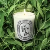 Verveine (Zitronenverbene) – kleine Kerze Verveine (Zitronenverbene) – kleine Kerze