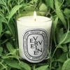 Verveine (Zitronenverbene) – kleine Kerze Verveine (Zitronenverbene) – kleine Kerze